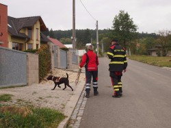 Neděle - Tessie ve městě /kontrola vchodů do domů .... 